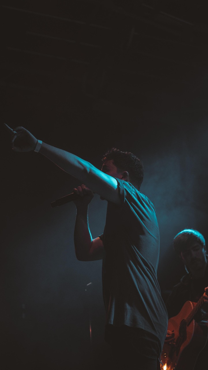 concert, stage, music, band, singer, festival, event, lights, entertainment, live, musicians, brown event, brown concert